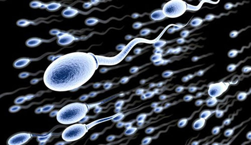 Đặc biệt, nam giới tuyệt đối không cố nhịn xuất tinh nếu đang bị trĩ hành hạ. Cố “nhịn” làm cơ vùng hông quanh hậu môn chịu tác động lớn, quá trình tuần hoàn máu xung quanh hậu môn cũng chịu một áp lực lớn gấp nhiều lần so với khi quan hệ bình thường. Nó hoàn toàn không có lợi cho sức khỏe nam giới, đồng thời khiến bệnh tình ngày càng nặng.