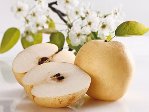 Bên cạnh đó, lê rất hữu ích trong việc tăng độ tập trung, giảm mất trí nhớ, giảm lượng cồn trong máu. Nó cũng giảm sự nhạy cảm quá mức của con người với ánh sáng, âm thanh.