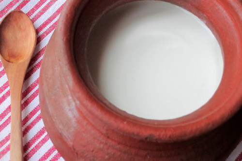 Tăng cường thực phẩm chứa vi khuẩn có lợi mỗi ngày là một cách bảo vệ thận hiệu quả. Việc ăn các thực phẩm chứa vi khuẩn có lợi mang lại tác dụng hỗ trợ thận làm việc tốt hơn. Bên cạnh đó, những vi khuẩn này còn có khả năng cải thiện sức khỏe tổng thể của hệ tiêu hóa.