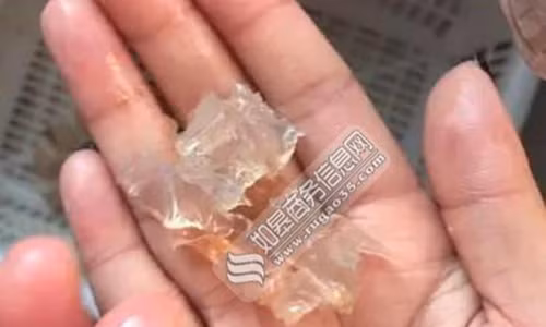 Trung Quoc rúng dọng scandal thục phảm tom chua gelatin-Hinh-2