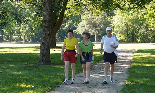 Trong khi đó, đi bộ được khuyến khích để giảm nguy cơ huyết áp cao, đẩy lùi cholesterol xấu, ngăn ngừa tiểu đường và các bệnh tim mạch. Nó cũng tỏ ra hữu ích cho nỗ lực giảm cân song không rõ rệt so với bài tập chạy. Ước tính, muốn đốt cháy 500 calo, bạn cần đi bộ trong vòng 1 giờ.