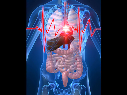 Chống viêm. Hạt bơ rất được khuyến khích dùng cho những người có vấn đề liên quan đến viêm ruột. Ngoài khả năng trị những vết loét nhỏ, các chất trong hạt bơ còn giúp hệ tiêu hóa hoạt động tốt hơn.