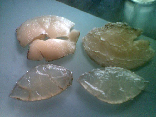 Được biết, nếu không có lớp silicon này, Lisa có thể bị gãy xương sườn, thậm chí những xương sườn gãy có khả năng xuyên thủng trái tim một cách dễ dàng.