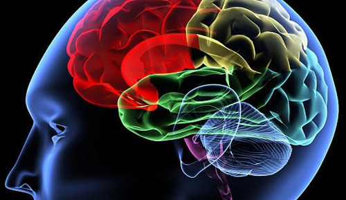 Ngoài ra, tiểu tiện nhiều cũng có thể do các bệnh lý như viêm tuyến tiền liệt, u xơ tuyến tiền liệt, sa bàng quang, thần kinh bị tổn thương,…