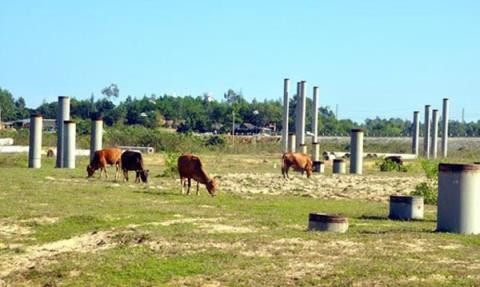 Mặc dù tỉnh Quảng Ngãi hết sức tạo điều kiện, song từ khi cấp phép đến khi thu hồi, nhà đầu tư chỉ hoàn thiện các thủ tục dự án, xây khu ký túc xá cho nhân viên, san lấp mặt bằng một phần diện tích và đóng móng cọc các hạng mục xây dựng. Nguyên nhân đình trệ là do nhà đầu tư không đảm bảo năng lực tài chính và kinh nghiệm xây dựng - Ảnh: Bbizlive.