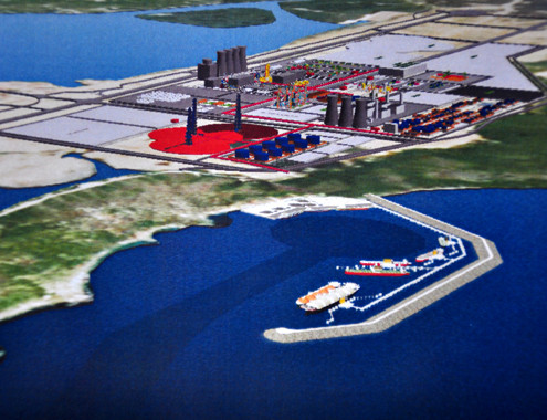 Theo ông Hồ Quốc Dũng - Chủ tịch UBND tỉnh Bình Định, sở dĩ tỉnh ngừng thu hút dự án này là do không đảm bảo tính khả thi, chậm trễ kéo dài, gây ảnh hưởng lớn đến tình hình thu hút doanh nghiệp khác đầu tư vào khu kinh tế Nhơn Hội - Ảnh: Vnexpress.