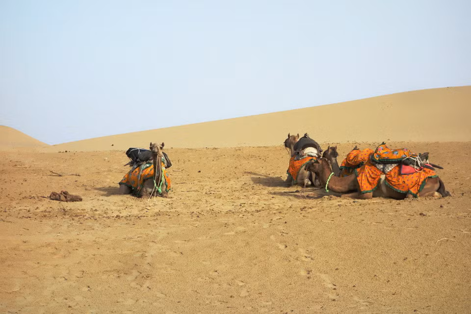 Người dân địa phương thường tắm hoặc chèo thuyền ở hồ Gadisar để thư giãn trong thời tiết khắc nghiệt của sa mạc. Hoạt động thu hút du khách đến với Jaisalmer là cưỡi lạc đà trên cát.