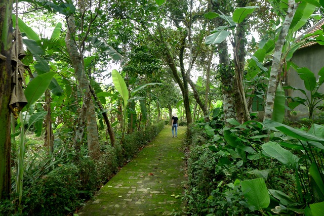 Ở làng Phước Tích còn lưu giữ những di sản vật thể vô giá, trong tổng số 117 nóc nhà của làng, hiện tại còn tới 27 ngôi nhà cổ, đa số là nhà rường ba gian hai chái và 10 nhà thờ họ cổ. Ảnh: Không gian của làng cổ Phước Tích vô cùng bình yên, trong lành.