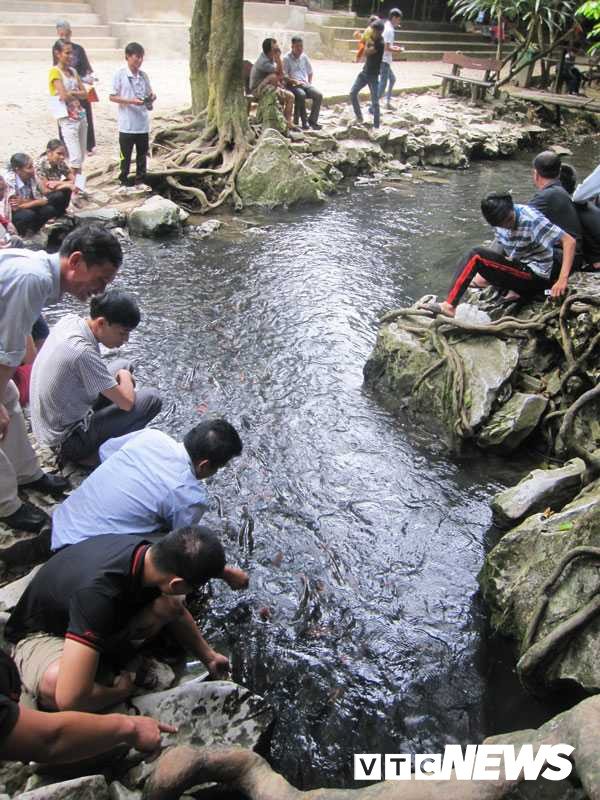 Suối cá ở xã Cẩm Lương.