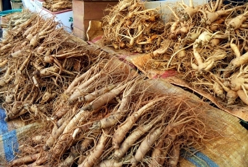 Có vị đại gia còn mạnh tay mua bình sâm Ngọc Linh giá 5 - 6 tỷ. Ảnh: Webtretho.