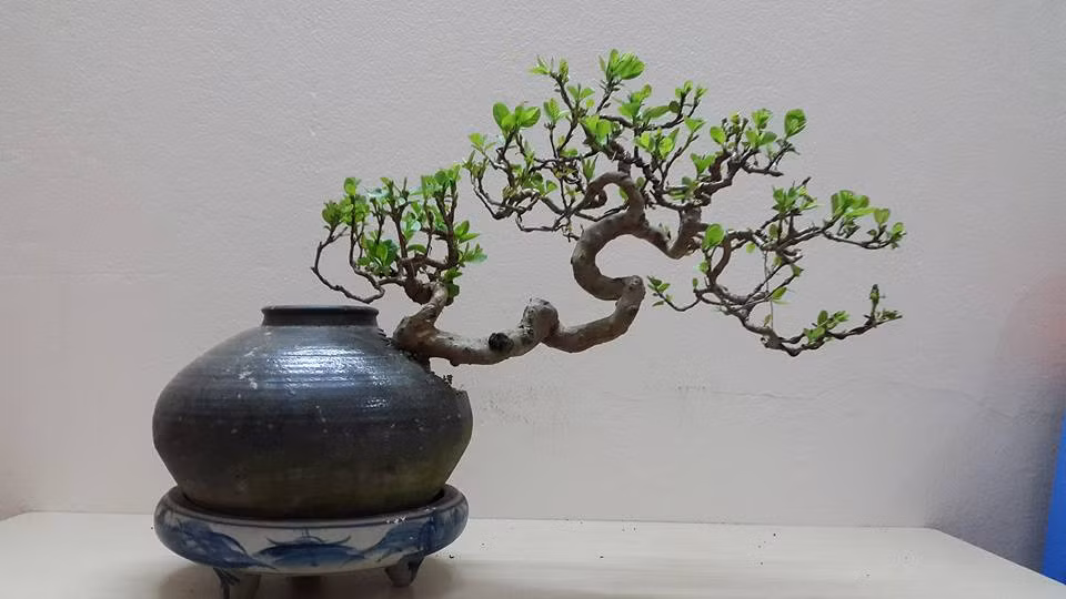 Sản phẩm được tạo ra là sự kết hợp giữa kiến trúc, hội họa, điêu khắc của các nghệ nhân.