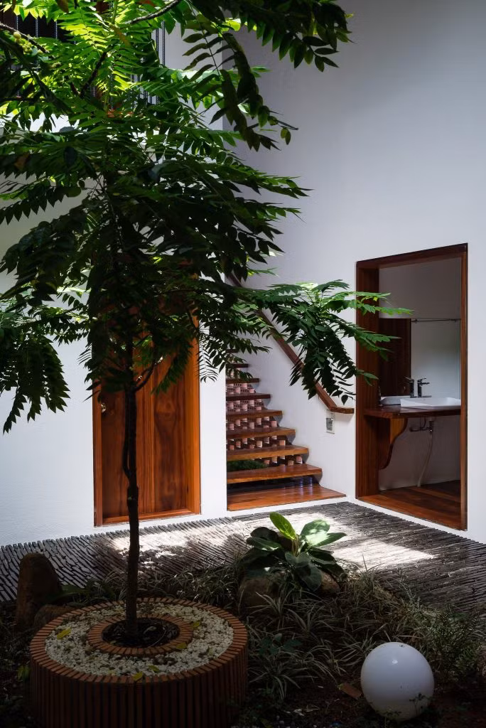 Rất nhiều khoảng không mang hơi thở của cây xanh.