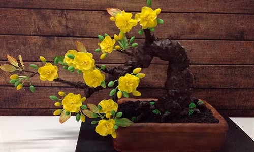 Nhung loai cay ban nhat dinh nen trong dip cuoi nam-Hinh-3