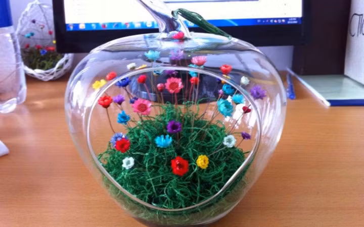 Hoa tuyết nhiệt đới khô có nhiều màu để lựa chọn như hồng, đỏ, vàng, trắng, xanh.... Loại hoa này thường được bó thành chùm hoặc được trang trí trong các hũ thủy tinh rất đẹp mắt