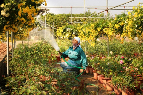 Để phục vụ cho sản xuất, người dân trong xã đầu tư các máy móc, thiết bị. Ảnh: Baohungyen.