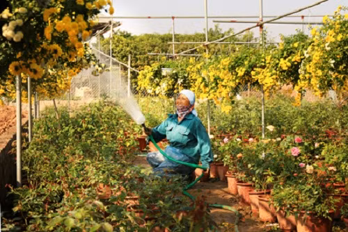 Để phục vụ cho sản xuất, người dân trong xã đầu tư các máy móc, thiết bị. Ảnh: Baohungyen.