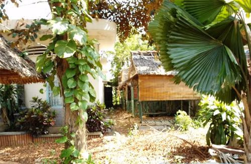 Sân ngập đầy lá khô, cây cỏ mọc um tùm. Ảnh: Zing.