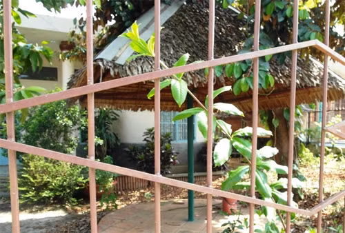 Trong vườn còn nhiều cây xanh. Ảnh: GDVN.