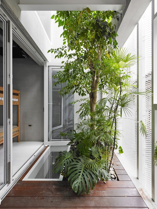 Sàn kính cũng được sử dụng ở khoảng đệm cây xanh nhằm tăng thêm ánh sáng.