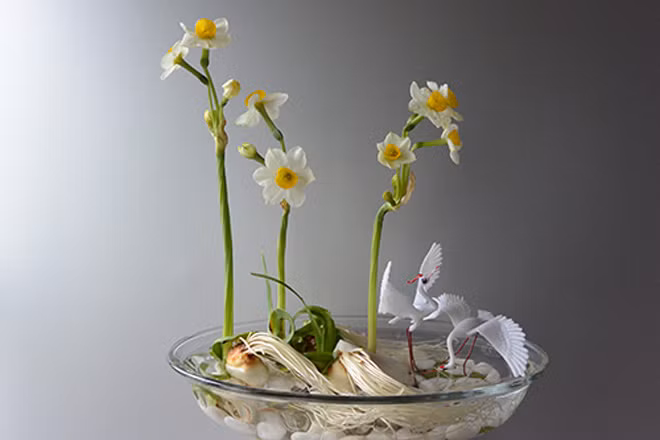 Thường xuyên theo dõi màu nước, nếu chuyển màu khác lập tức thay nước mới. Ảnh: Sharp Life.