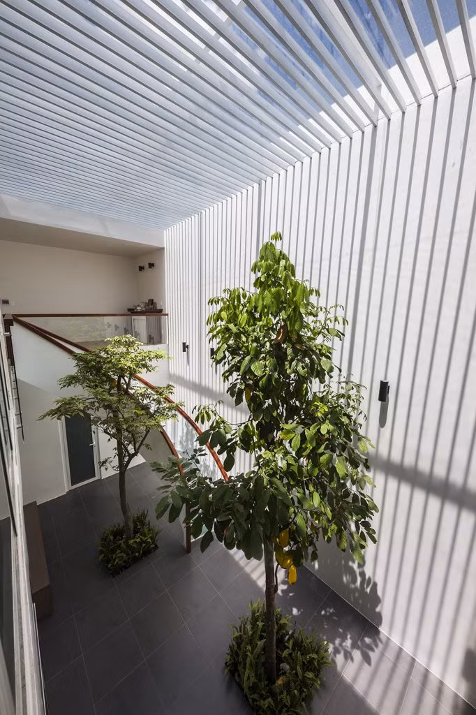 Đó cũng là nơi người lớn thưởng trà, nuôi chim...