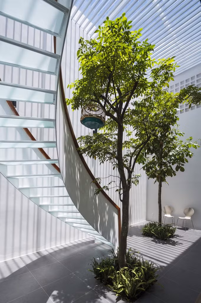 Dưới bóng cây xanh là nơi vui đùa của lũ trẻ.