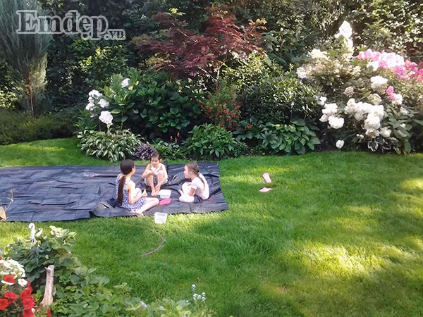 Chị Trang cho biết, khu vườn nhà chị đều có hoa nở rực rỡ quanh năm nhưng đẹp nhất là vào khoảng tháng 5 đến tháng 8, trăm hoa đua nhau khoe sắc. Đến thời điểm đó, ngôi nhà bình yên của chị đẹp dịu dàng như vừa bước ra từ câu chuyện cổ tích.