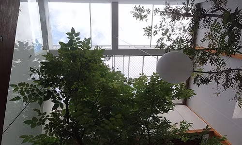 Cây cỏ hòa quyện với cuộc sống con người.