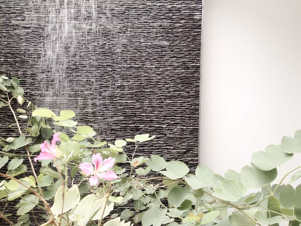 Bức tường thác nước đổ cùng với cây xanh.