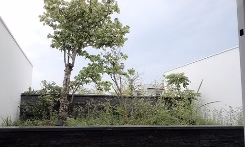 Khu vườn trên mái vừa giúp giảm nhiệt lượng xuống các phòng phía dưới, vừa tạo tính thẩm mỹ cho ngôi nhà.