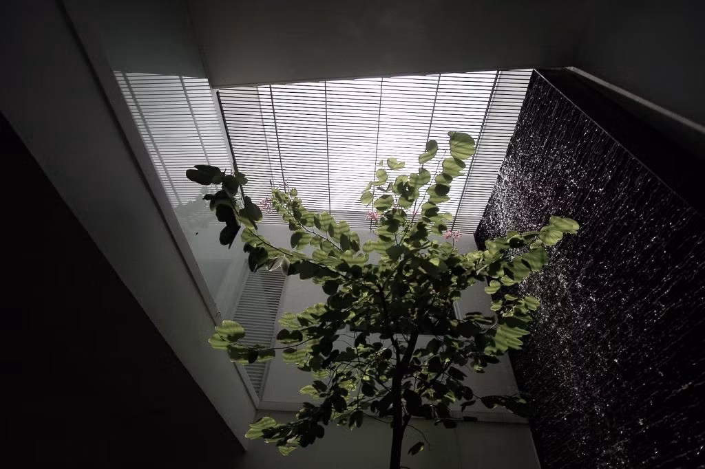 Một không gian xanh, thoáng đãng tuyệt vời bên trong nhà.