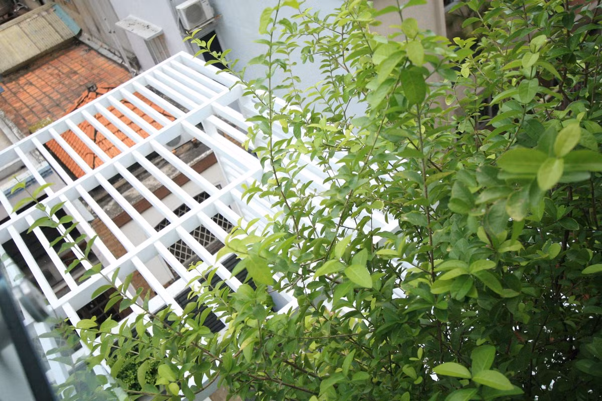 Cây xanh giúp lọc bụi, bớt nắng nóng, giảm tiếng ồn và mang lại khung cảnh thiên nhiên gần gũi.