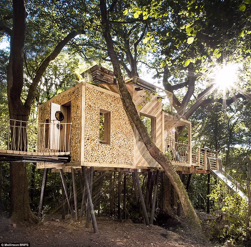 Me man ngam ngoi nha go tren cay sang trong o Anh