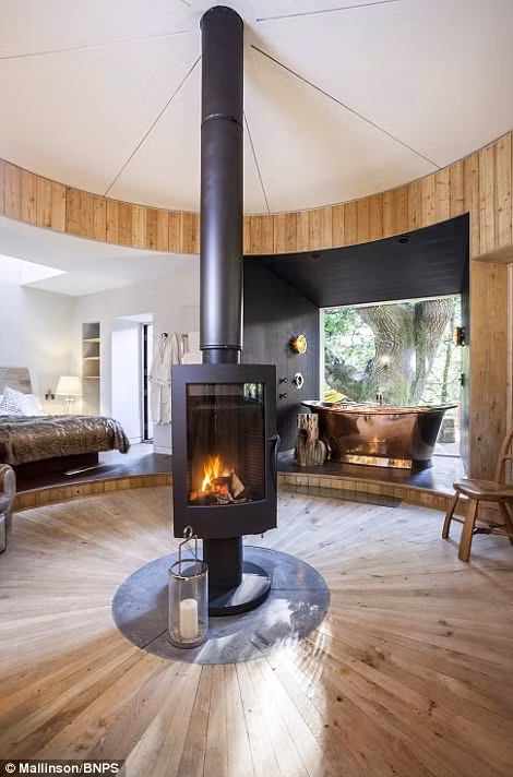 Me man ngam ngoi nha go tren cay sang trong o Anh-Hinh-4