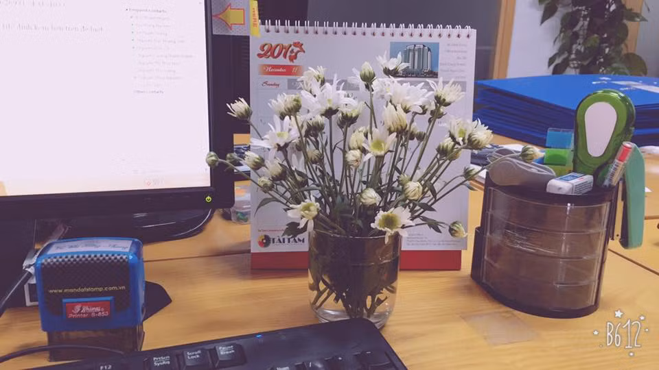 Cúc họa mi cho góc làm việc thêm lãng mạn. Ảnh: FB Vũ Hồng Nhung.
