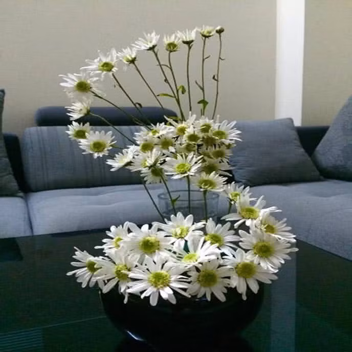 Khéo léo với lọ hoa cúc họa mi tạo dáng chữ S. Ảnh: Nguyen My Hanh.