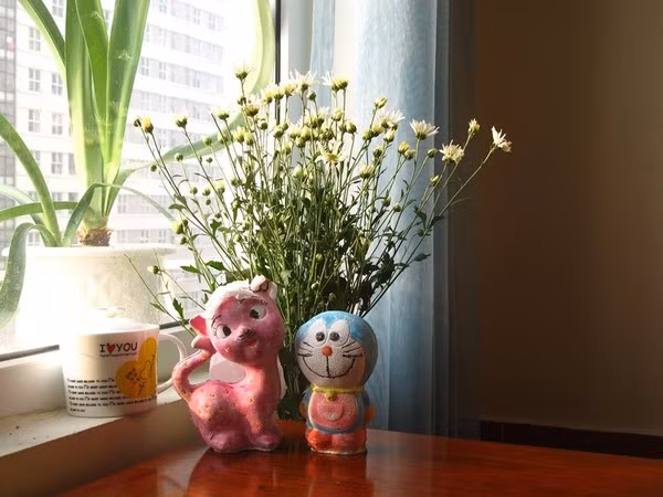 Với vẻ đẹp giản dị mà tinh khôi, cúc hoa mi rất thích hợp để trang trí nhà ở Ảnh: MASK Online.