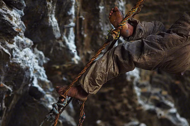 Thợ lấy mật thậm chí phải đánh cược cả tính mạng mới thu được thành quả. Ảnh: Offgridquest.