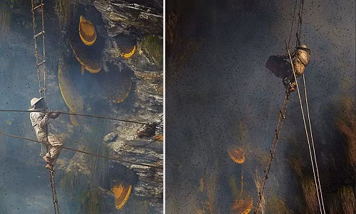 Bầy ong ùa ra như lấp kín cả vùng trời. Ảnh: Bored Panda.