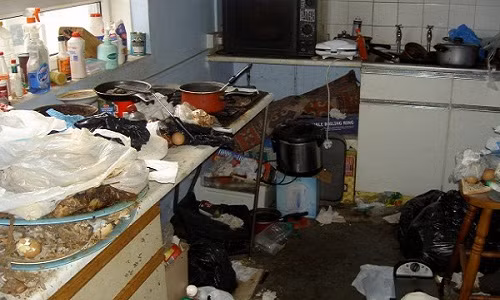 Phòng bếp dường như chưa bao giờ được rửa dọn. Ảnh: Thisoldhand.