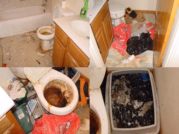 Nhà vệ sinh có lẽ vài năm không cần dọn. Ảnh: Master-cleaners.