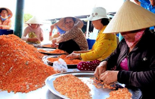 Nghề làm tôm khô cũng mang lại thu nhập gần 1 triệu đồng/ngày cho người dân địa phương. Ảnh: Dulichnangmoi.