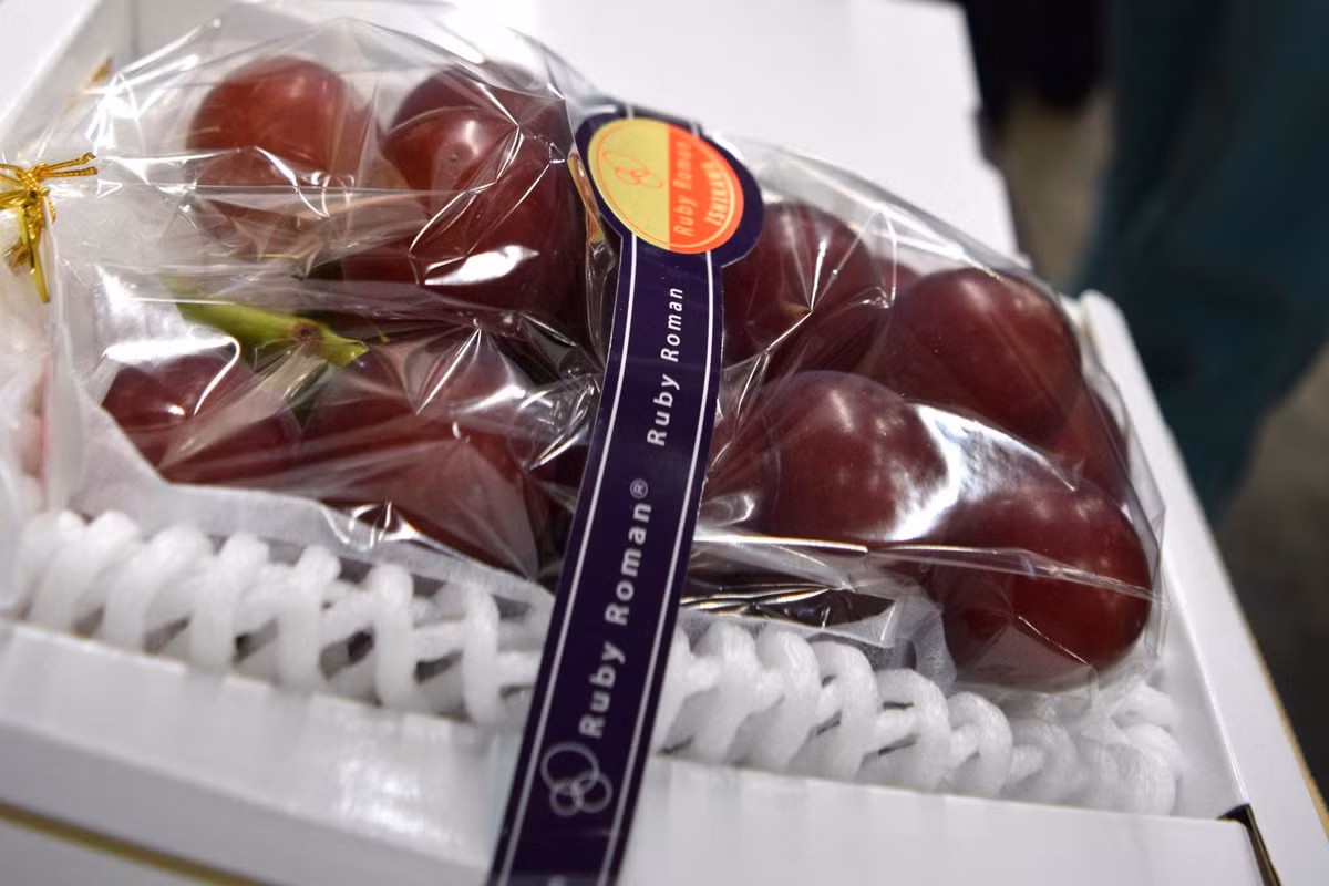 Chùm nho đắt nhất thế giới Ruby Roman từng được bán ở siêu thị Kurashi Kaientai, quận Hyogo, vùng Kansai (Nhật Bản). Ảnh: Standard.