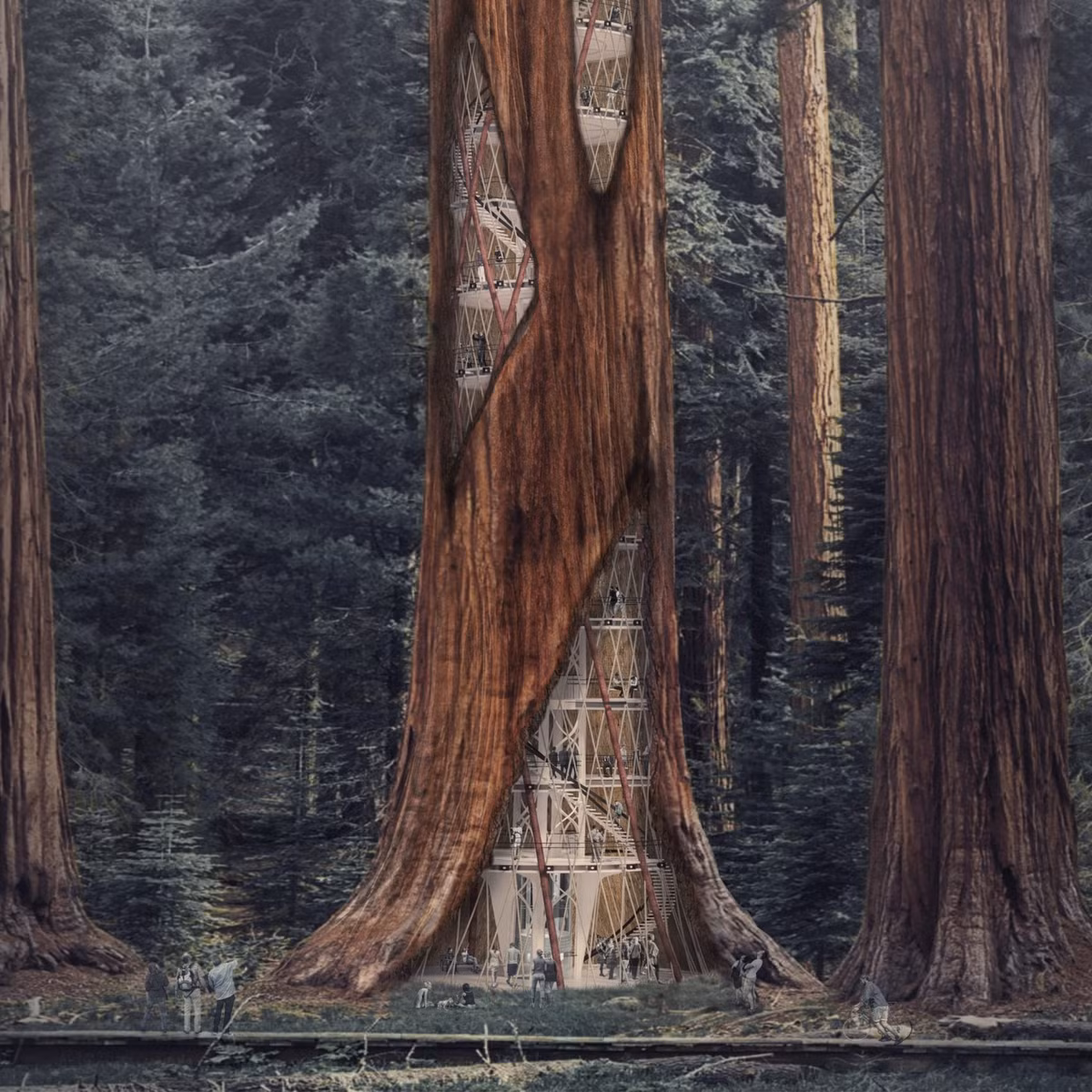 Tòa nhà chọc trời Giant Sequoia xây dựng bên trong một cây tùng cổ thụ ở Mỹ.