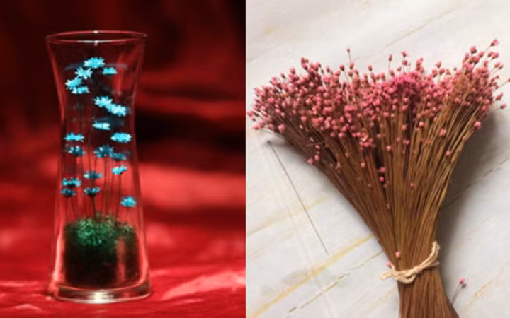 Hoa tuyết nhiệt đới khô mới xuất hiện trên thị trường quà tặng ở Việt Nam