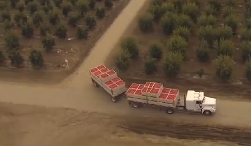 Sau đó các thùng lựu được xe tải chở đến nhà máy cách đó hơn 100km. Nguồn ảnh: Roll Recruiting.