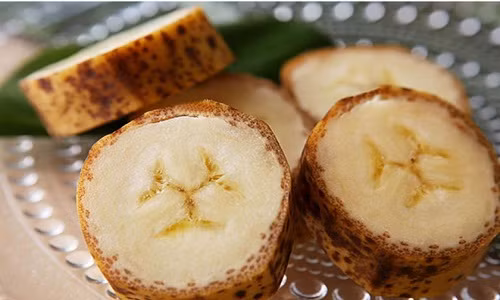 Chuối Mongee. Ảnh: D&T Farm Inc.