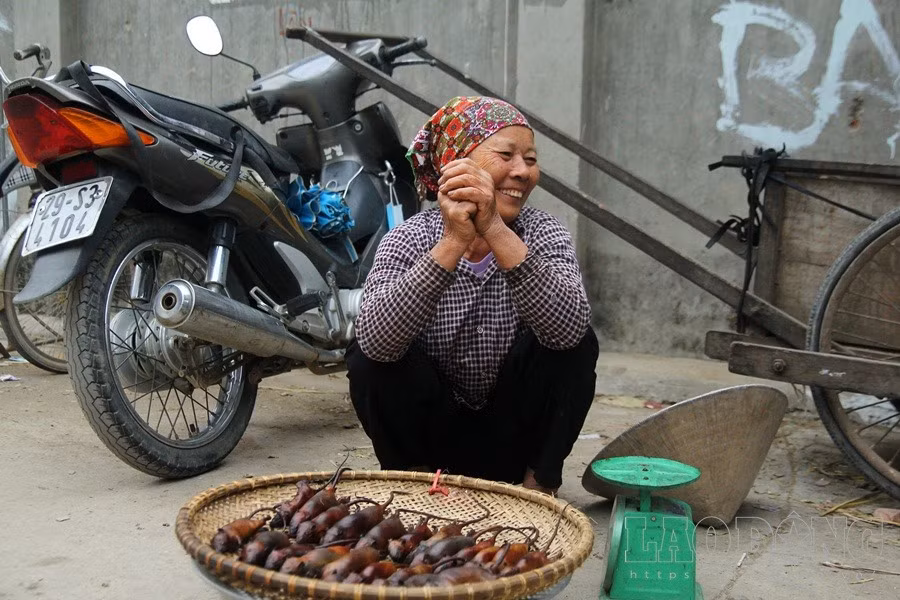 Ha Noi vao mua thit chuot: Do ve Thach That nhau dac san