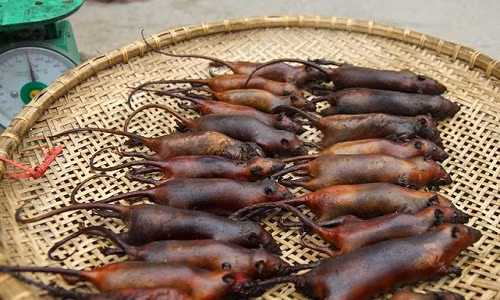 Chợ Canh Nậu bắt đầu từ 4h chiều, kết thúc khi sẩm tối. Những con chuột thui rơm, màu nâu đen được bày bán, có giá từ 100 – 120.000 đồng/kg, đắt hơn hẳn thịt gà, thịt lợn.