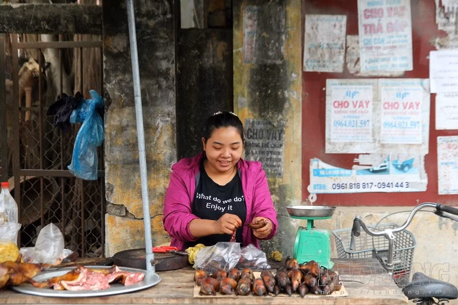 Quan sát của PV, tại chợ Canh Nậu, có nhiều sạp bán thịt chuột, mỗi sạp gom được chừng 5 - 10kg. Chỉ chưa đầy 2h, các sạp bán "đặc sản đồng ruộng" đã hết sạch.